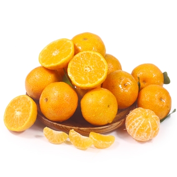 沙糖桔中大果（果径40-50MM) 净重8.5-8.7斤