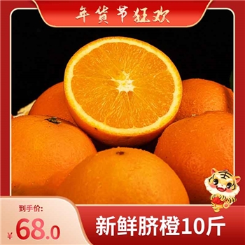 新鲜脐橙十斤装