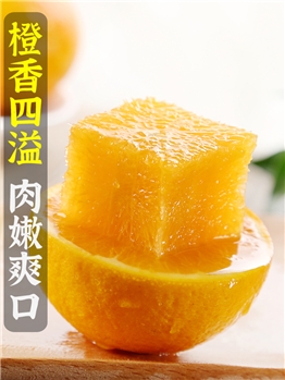 广西桂林夏橙9斤时令新鲜当季水果甜橙果 手剥脐橙整箱大果