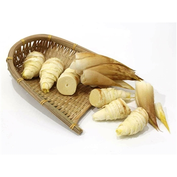现货新鲜冬笋5斤现挖