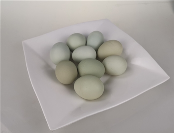 新鲜农家五黑鸡绿壳鸡蛋30枚包邮