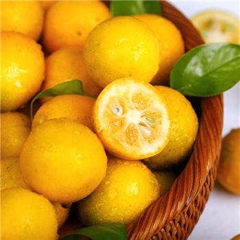 广西金桔5斤脆皮小金桔橘子当季新鲜水果