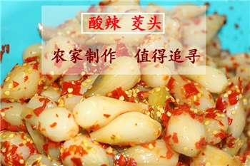 下饭菜藠头农家新鲜茭头腌制瓶装教头酸辣椒荞头泡菜开胃菜 1斤装