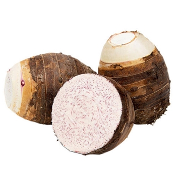 正宗广西桂林土特 农家香芋（5斤发5-8个）生鲜农产品