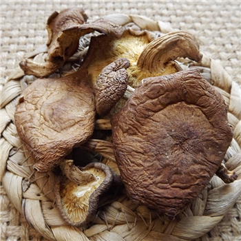 野生干香菇500g