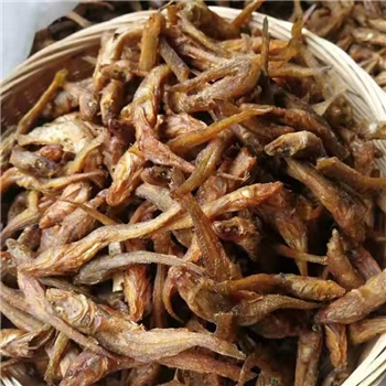 崇山江北河野生小石头鱼400g