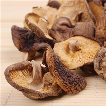 精选山珍美味干香菇100g