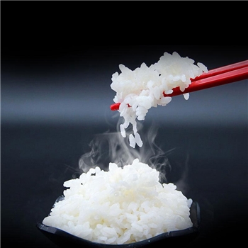 大米10kg(20斤）2021当季新米锁鲜粳米