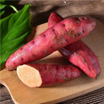 西瓜红蜜薯9斤装单果100g+六鳌蜜薯