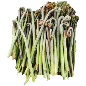 新鲜蕨菜10斤装